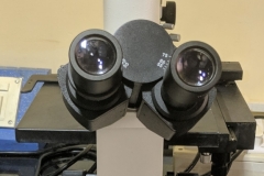 Optical Microscope