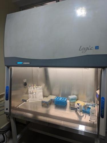 Biosafety-cabinet-1