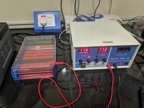 Gel-electrophoresis-1